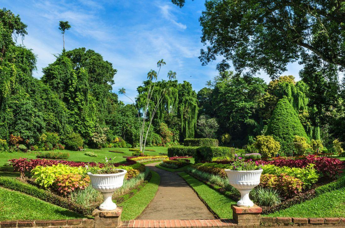 Kandy Gallery