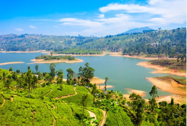 Nuwara Eliya