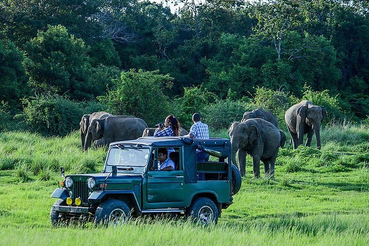 Adventure Sri Lanka Explorer