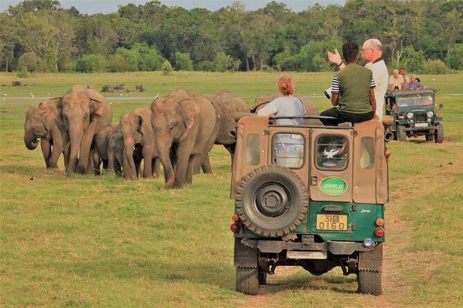 Adventure Experiences