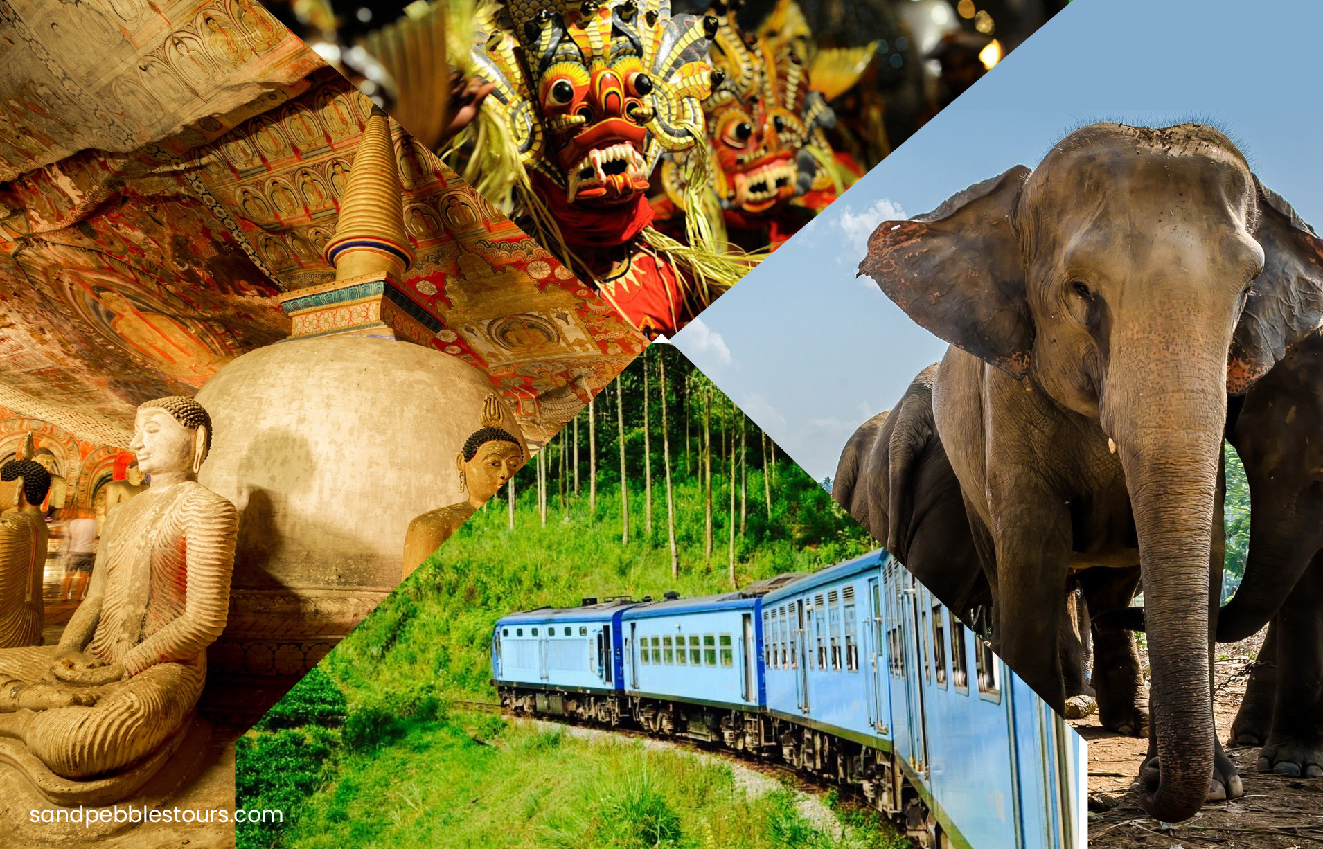 Customized Tours